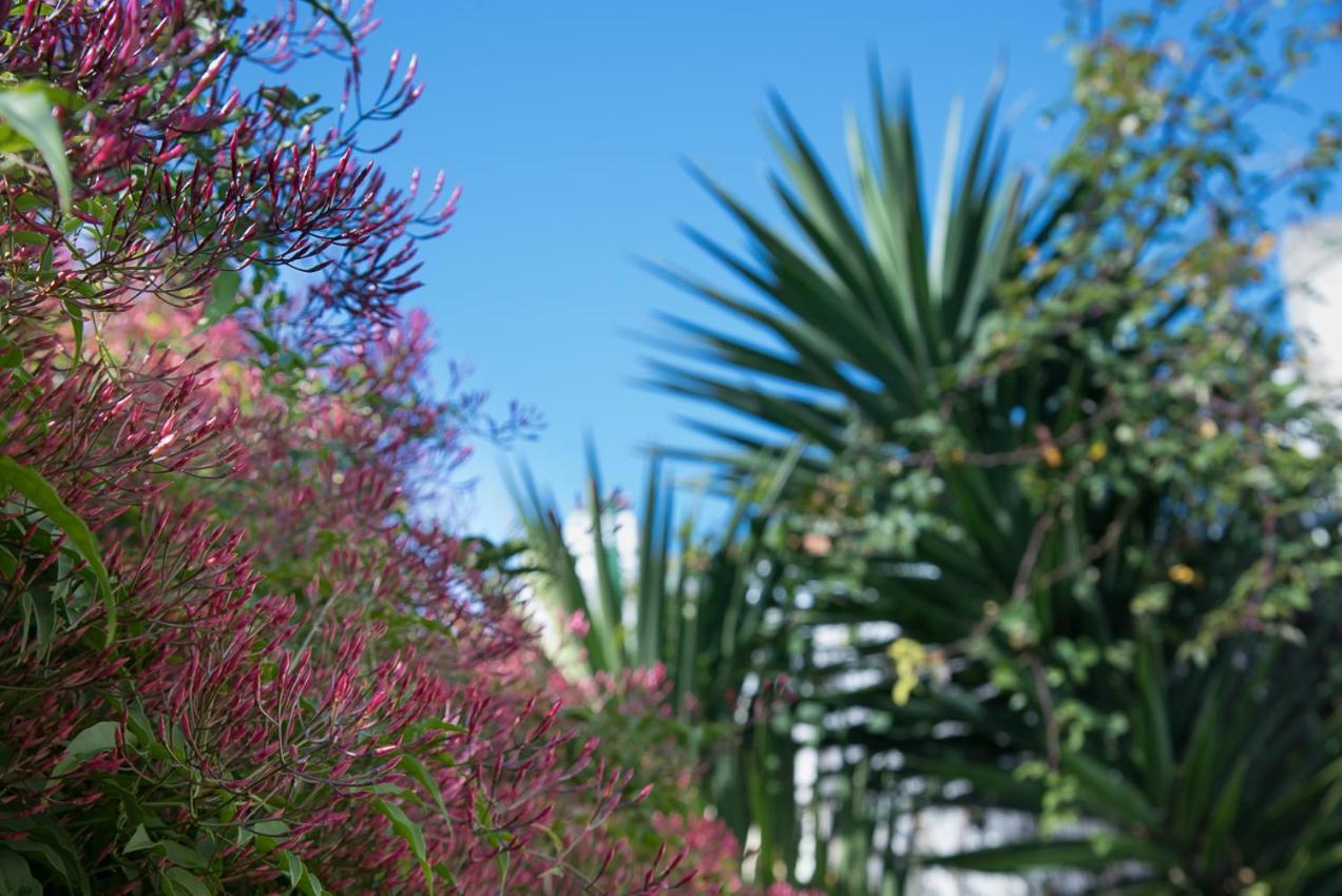 Flat With A Garden In Belem Apartment Lisbon Exterior photo